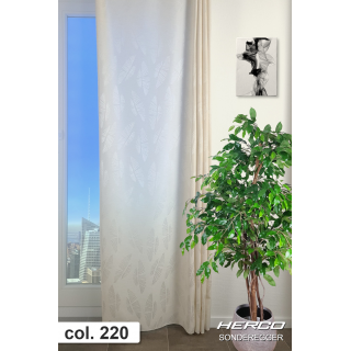 6449 "FROND"