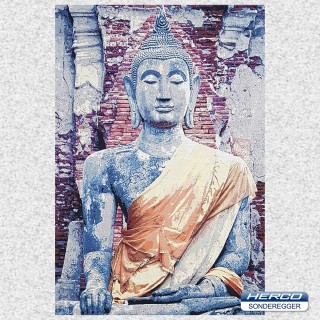 1193 "BUDDHA"